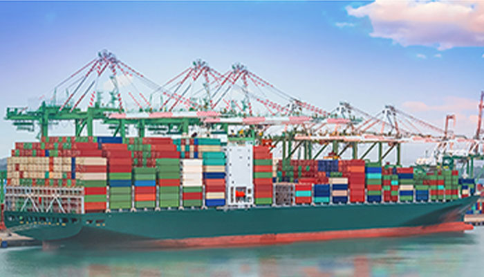 Inspection & Quality Control-Holyale-China Sourcing Agent-5